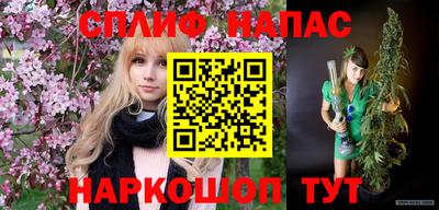 дмт Нальчик